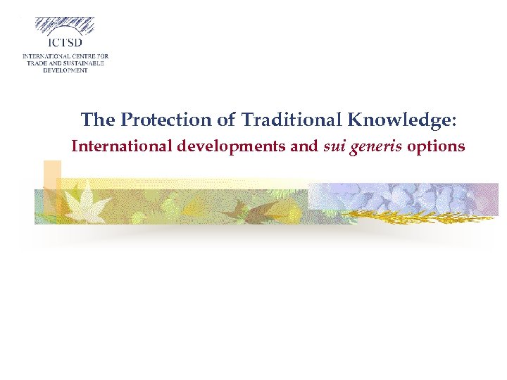 The Protection of Traditional Knowledge: International developments and sui generis options 