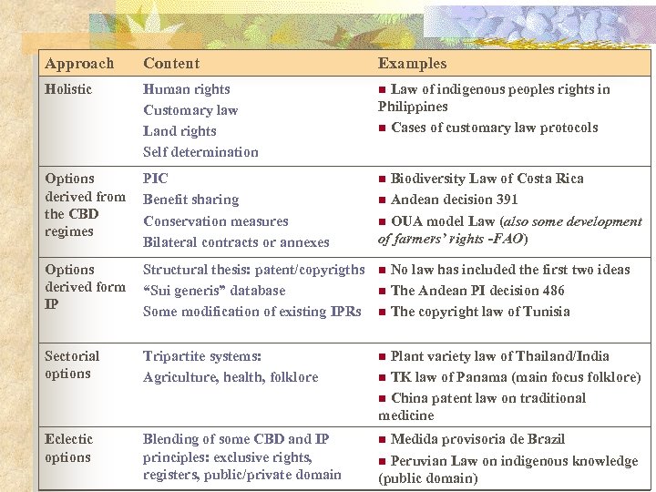 Approach Content Examples Holistic Human rights Customary law Land rights Self determination n Options