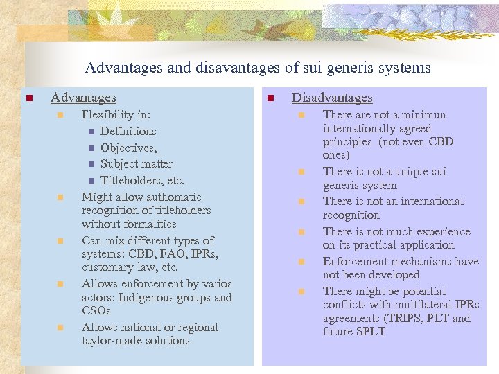 Advantages and disavantages of sui generis systems n Advantages n n n Flexibility in: