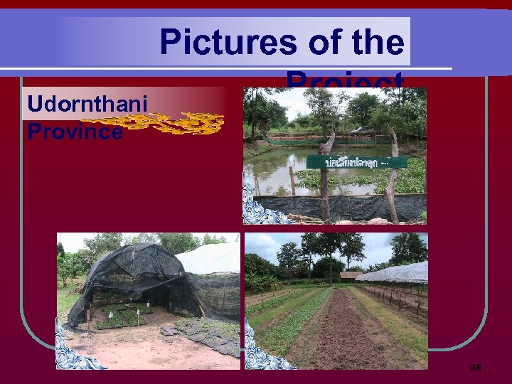 Pictures of the Project Udornthani Province 38 