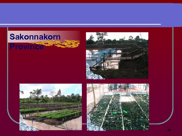 Sakonnakorn Province 40 