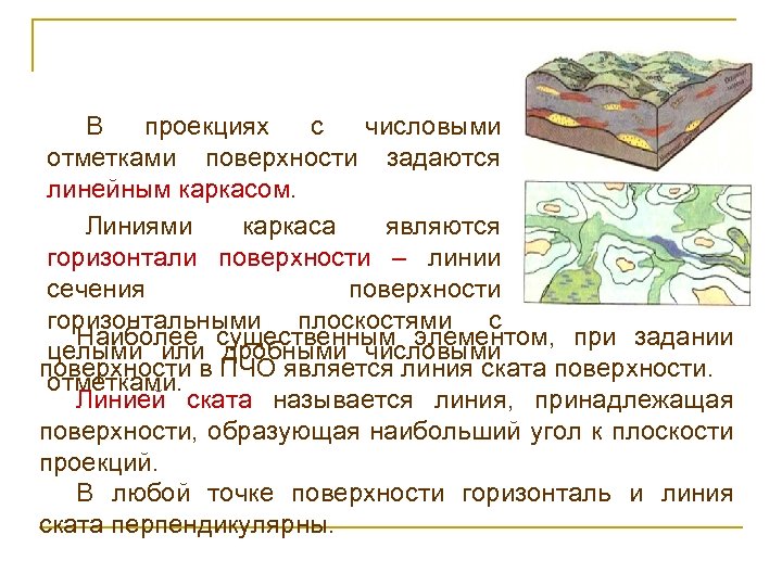 В проекциях с числовыми отметками поверхности задаются линейным каркасом. Линиями каркаса являются горизонтали поверхности