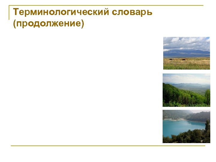 Терминологический словарь (продолжение) 