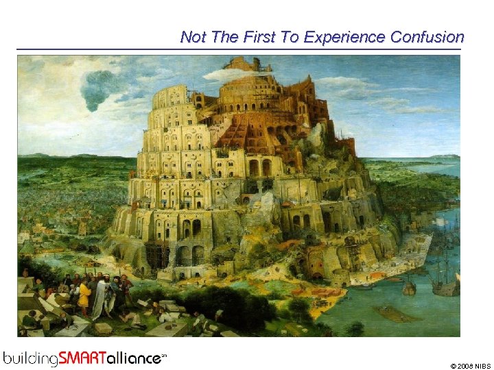 Not The First To Experience Confusion © 2008 NIBS 