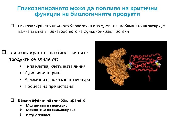 Гликозилирането може да повлияе на критични функции на биологичните продукти q Гликозилирането на много