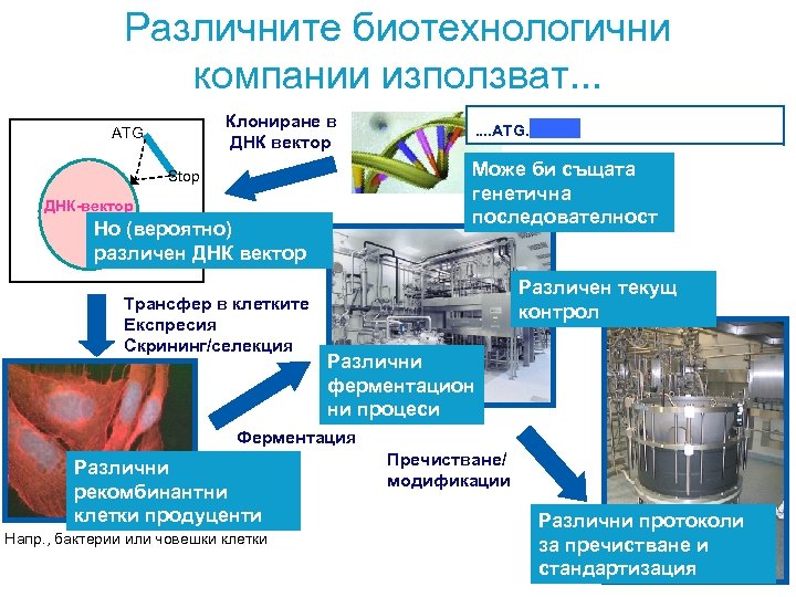 Различните биотехнологични компании използват. . . Клониране в ДНК вектор ATG Може би същата