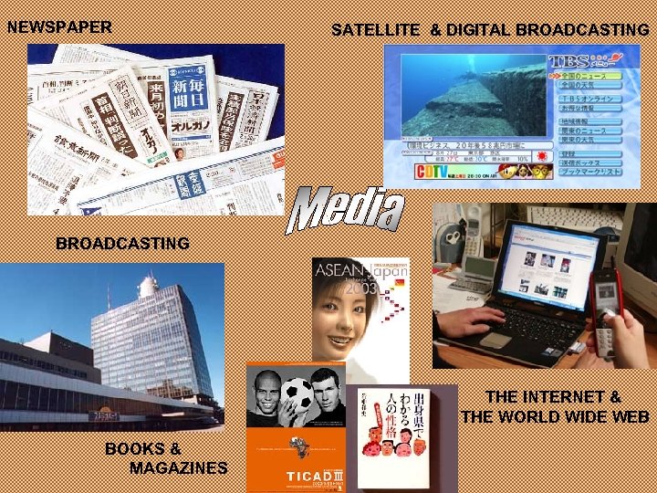 NEWSPAPER SATELLITE & DIGITAL BROADCASTING THE INTERNET & THE WORLD WIDE WEB BOOKS &