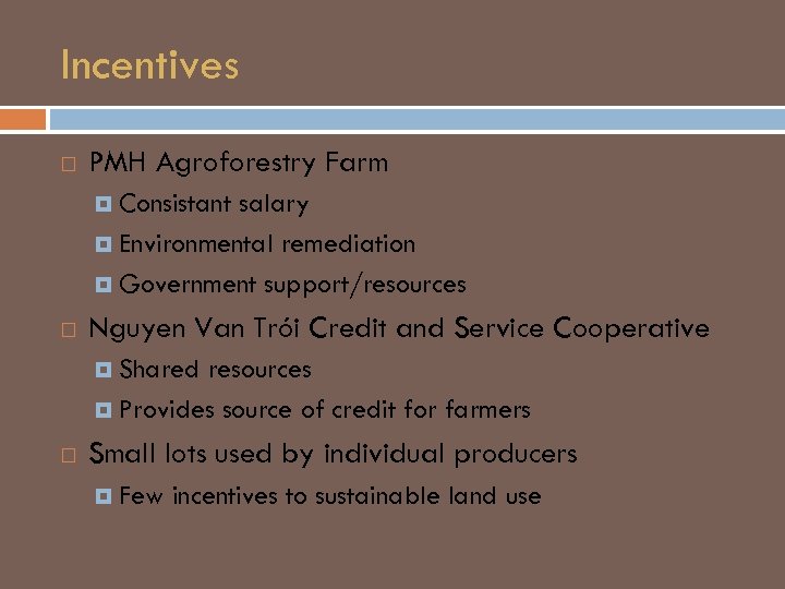 Incentives PMH Agroforestry Farm Consistant salary Environmental remediation Government support/resources Nguyen Van Trói Credit