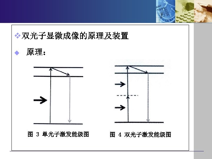 v 双光子显微成像的原理及装置 u 原理： 图 3 单光子激发能级图 图 4 双光子激发能级图 