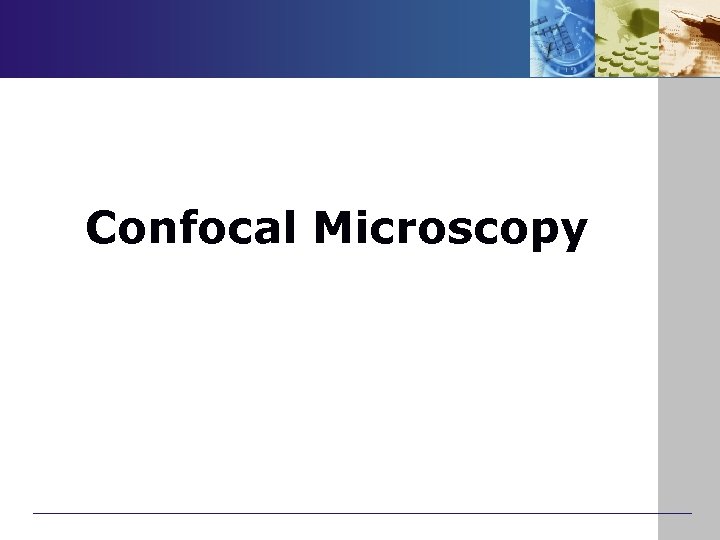 Confocal Microscopy 