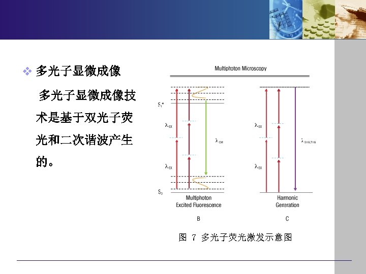 v 多光子显微成像技 术是基于双光子荧 光和二次谐波产生 的。 图 7 多光子荧光激发示意图 