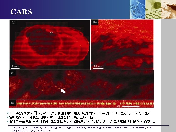 CARS §(g)、(h)是在大范围内多次拍摄拼接重构出的鼠脑切片图像；(h)图是(g)中白色小方框内的图像； §(i)视频帧率下乳鼠红细胞流过毛细血管的记录, 截取一帧； §(j)对(i)中白色箭头所指的毛细血管位置进行图像序列分析, 得到这一点细胞流经情况随时间的变化。 Evans CL, Xu XY, Kesari S, Xie XS,