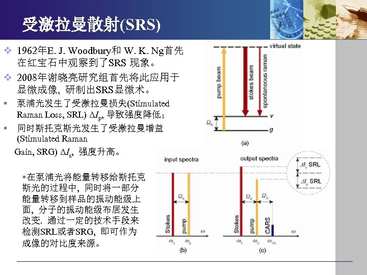 受激拉曼散射(SRS) v 1962年E. J. Woodbury和 W. K. Ng首先 在红宝石中观察到了SRS 现象。 v 2008年谢晓亮研究组首先将此应用于 显微成像, 研制出SRS显微术。