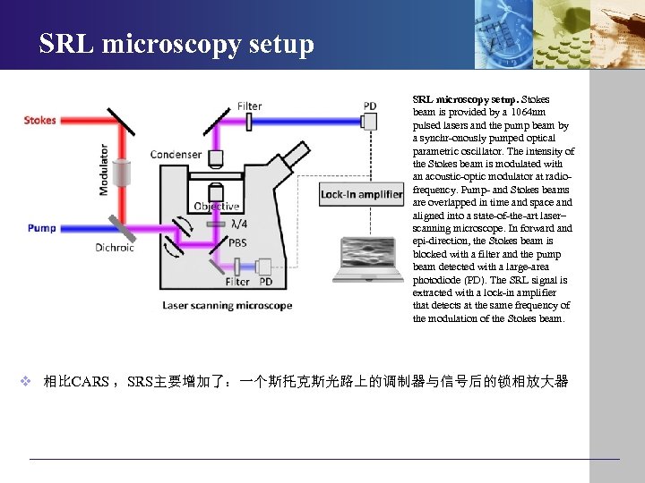 SRL microscopy setup. Stokes beam is provided by a 1064 nm pulsed lasers and