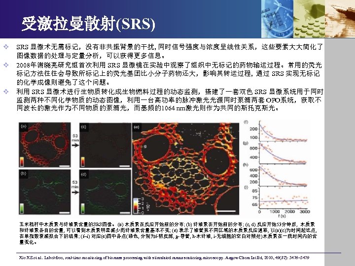 受激拉曼散射(SRS) v SRS 显微术无需标记，没有非共振背景的干扰, 同时信号强度与浓度呈线性关系，这些要素大大简化了 图像数据的处理与定量分析，可以获得更多信息。 v 2008年谢晓亮研究组首次利用 SRS 显微镜在实验中观察了组织中无标记的药物输运过程。常用的荧光 标记方法往往会导致所标记上的荧光基团比小分子药物还大，影响其转运过程, 通过 SRS 实现无标记