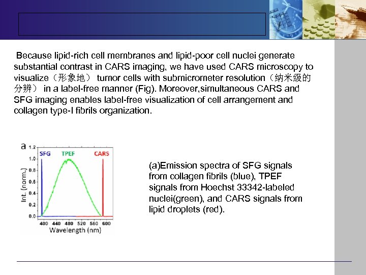 Because lipid-rich cell membranes and lipid-poor cell nuclei generate substantial contrast in CARS imaging,