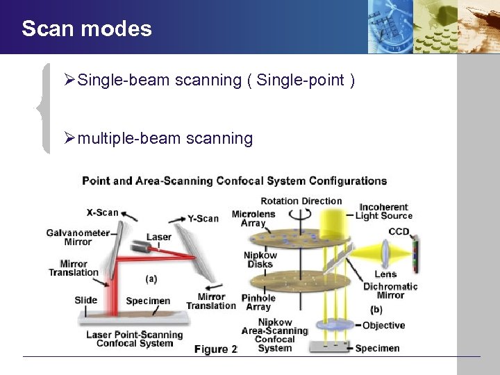 Scan modes ØSingle-beam scanning ( Single-point ) Ømultiple-beam scanning 