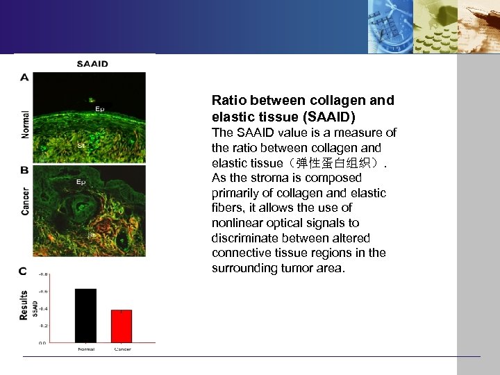 Ratio between collagen and elastic tissue (SAAID) The SAAID value is a measure of