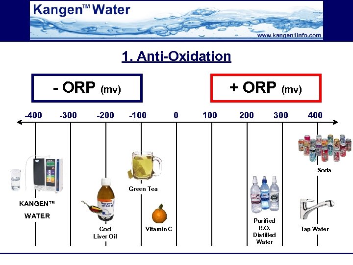 1. Anti-Oxidation - ORP (mv) -400 -300 -200 + ORP (mv) -100 0 100