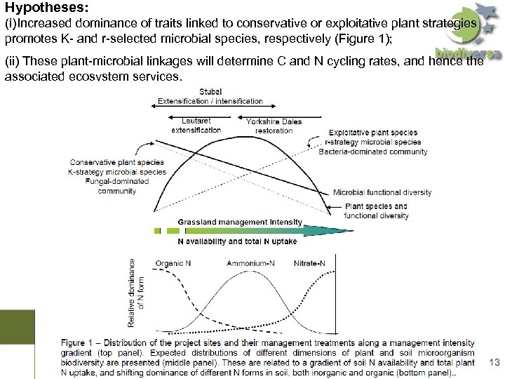 Hypotheses: (i)Increased dominance of traits linked to conservative or exploitative plant strategies promotes K-