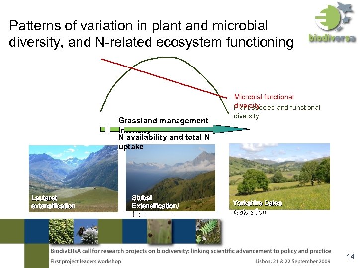 Patterns of variation in plant and microbial diversity, and N-related ecosystem functioning Grassland management