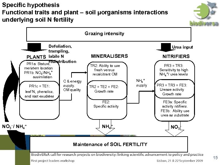 Specific hypothesis Functional traits and plant – soil µorganisms interactions underlying soil N fertility