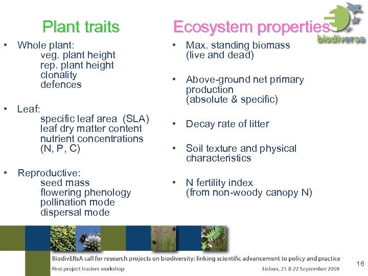 Plant traits • Whole plant: veg. plant height rep. plant height clonality defences •