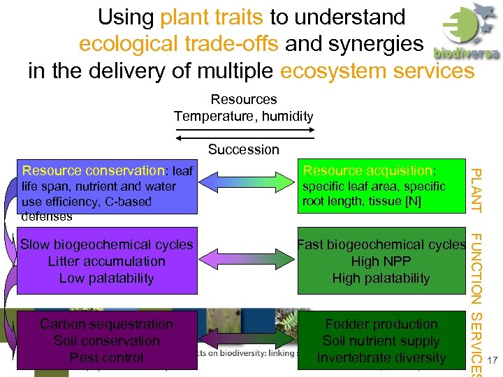 Using plant traits to understand ecological trade-offs and synergies in the delivery of multiple