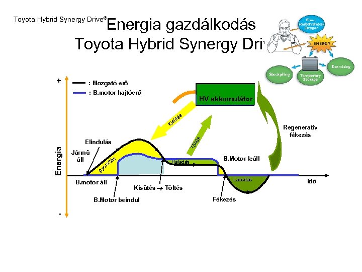 Energia gazdálkodás Toyota Hybrid Synergy Drive® + : Mozgató erő : B. motor hajtóerő