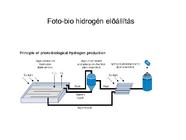 Foto-bio hidrogén előállítás 