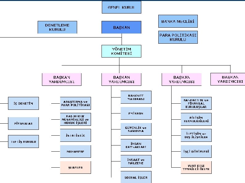 Institutional Structure of the TCMB 