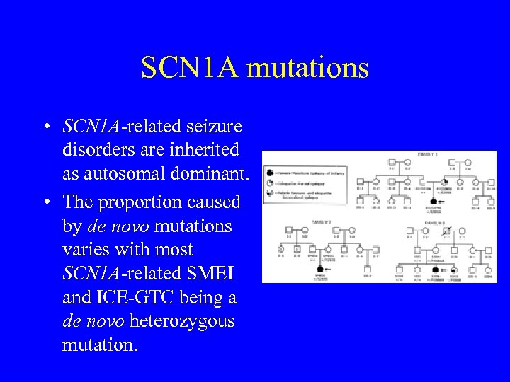 SCN 1 A mutations • SCN 1 A-related seizure disorders are inherited as autosomal