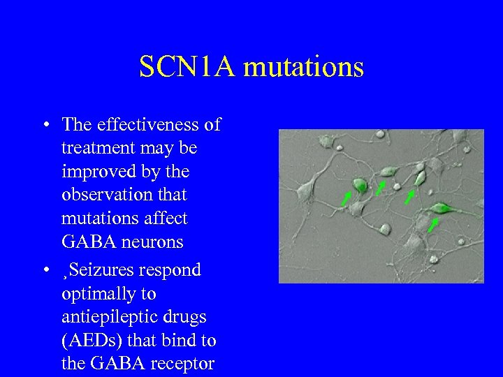 SCN 1 A mutations • The effectiveness of treatment may be improved by the