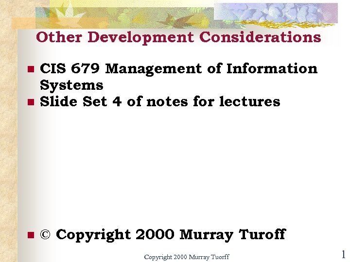 Other Development Considerations n CIS 679 Management of Information Systems Slide Set 4 of