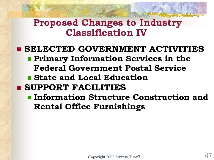 Proposed Changes to Industry Classification IV n SELECTED GOVERNMENT ACTIVITIES Primary Information Services in