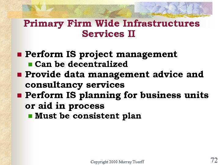 Primary Firm Wide Infrastructures Services II n Perform IS project management n n n