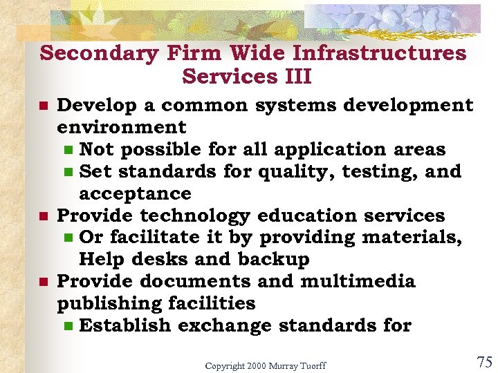 Secondary Firm Wide Infrastructures Services III n n n Develop a common systems development
