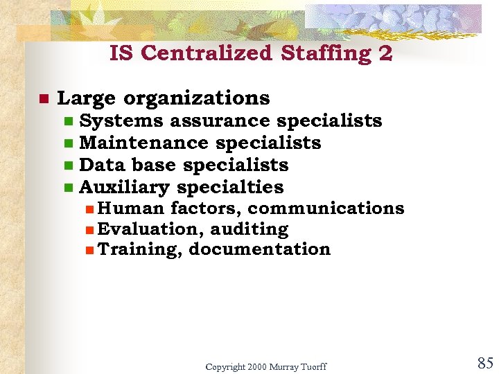 IS Centralized Staffing 2 n Large organizations n n Systems assurance specialists Maintenance specialists