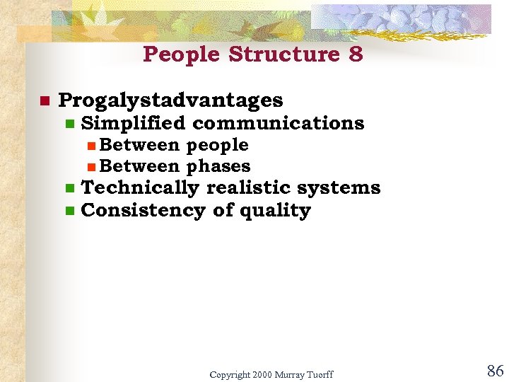 People Structure 8 n Progalystadvantages n Simplified communications n Between people n Between phases