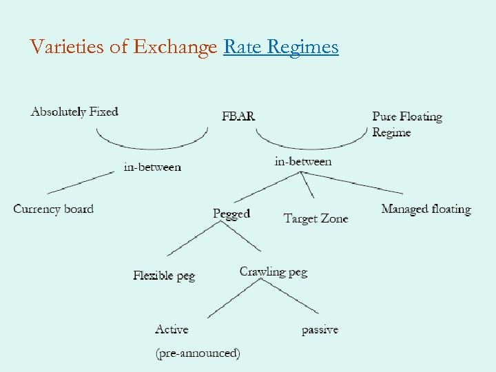 Varieties of Exchange Rate Regimes 