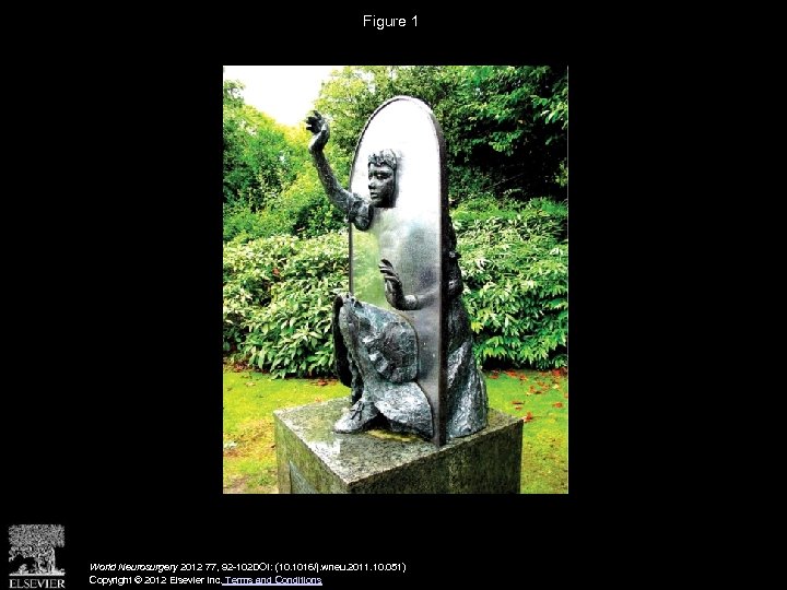 Figure 1 World Neurosurgery 2012 77, 92 -102 DOI: (10. 1016/j. wneu. 2011. 10.