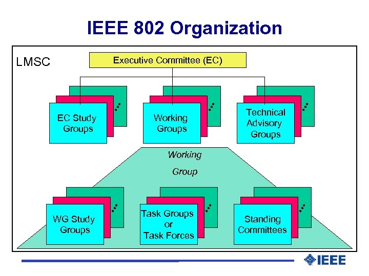 IEEE 802 Organization LMSC Executive Committee (EC) EC Study Groups Working Groups Technical Advisory