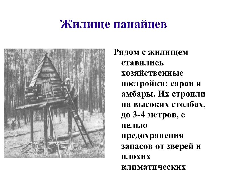 Жилище нанайцев Рядом с жилищем ставились хозяйственные постройки: сараи и амбары. Их строили на