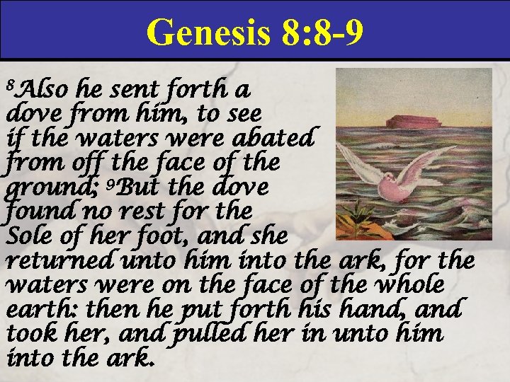 Genesis 8: 8 -9 8 Also he sent forth a dove from him, to