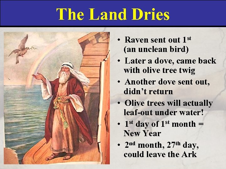 The Land Dries • Raven sent out 1 st (an unclean bird) • Later