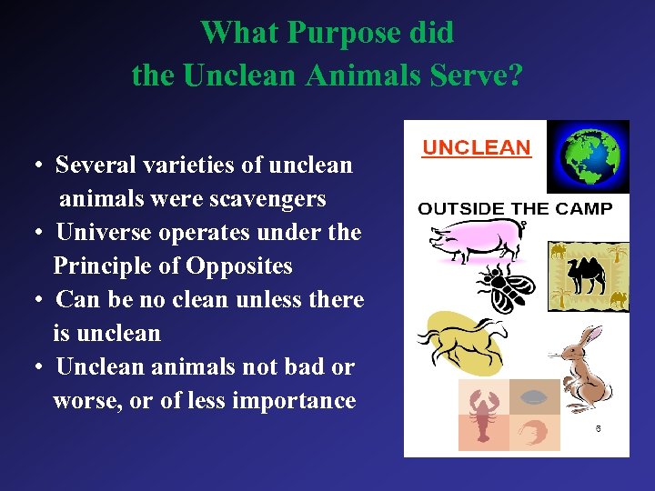 What Purpose did the Unclean Animals Serve? • Several varieties of unclean animals were