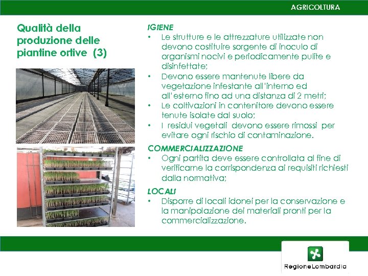 Qualità della produzione delle piantine ortive (3) IGIENE • Le strutture e le attrezzature