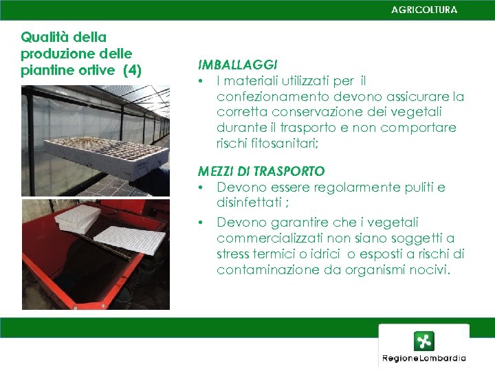 Qualità della produzione delle piantine ortive (4) IMBALLAGGI • I materiali utilizzati per il