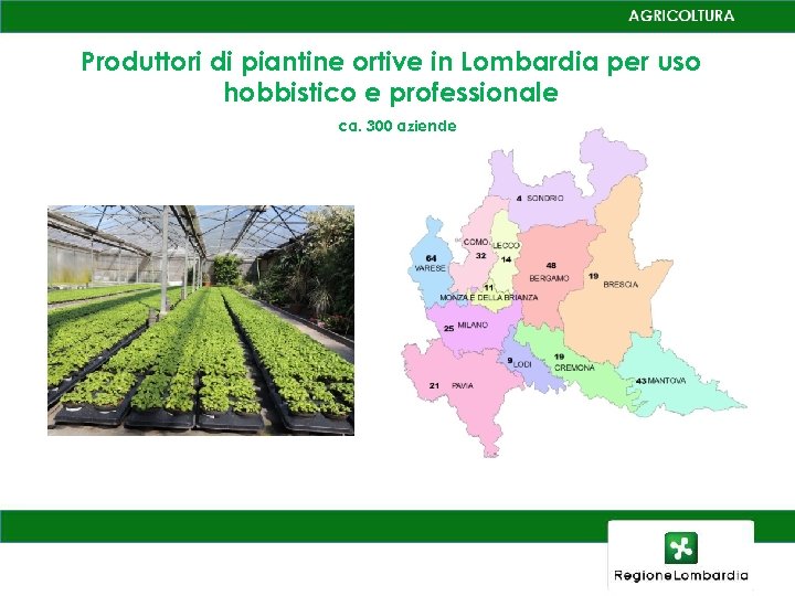 Produttori di piantine ortive in Lombardia per uso hobbistico e professionale ca. 300 aziende