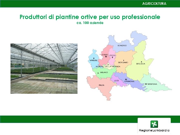 Produttori di piantine ortive per uso professionale ca. 100 aziende 
